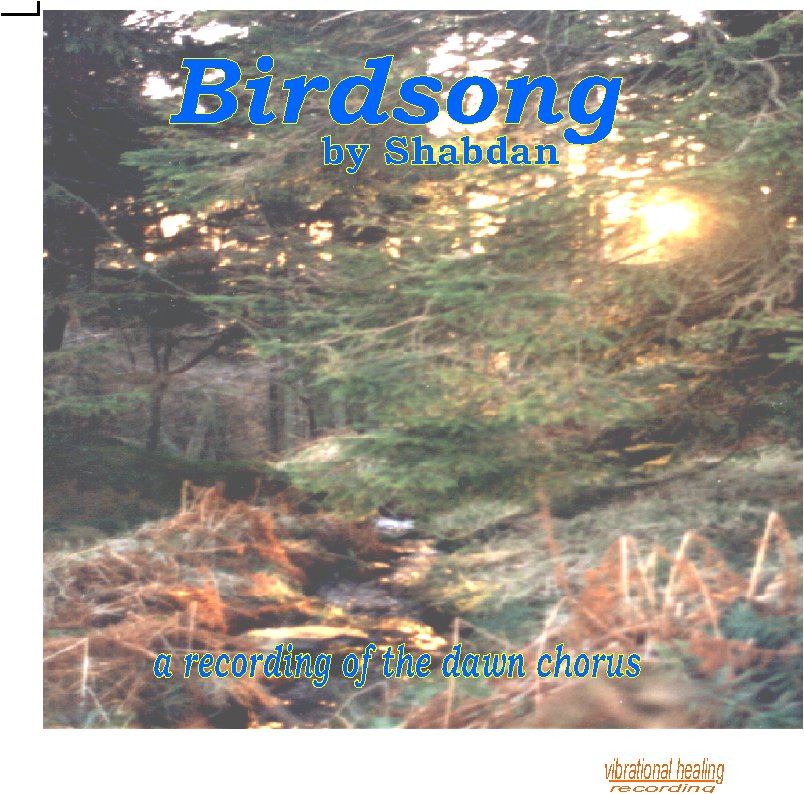 Birdsong