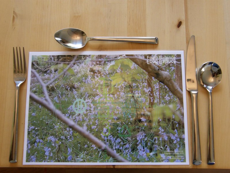 Food Balance placemat